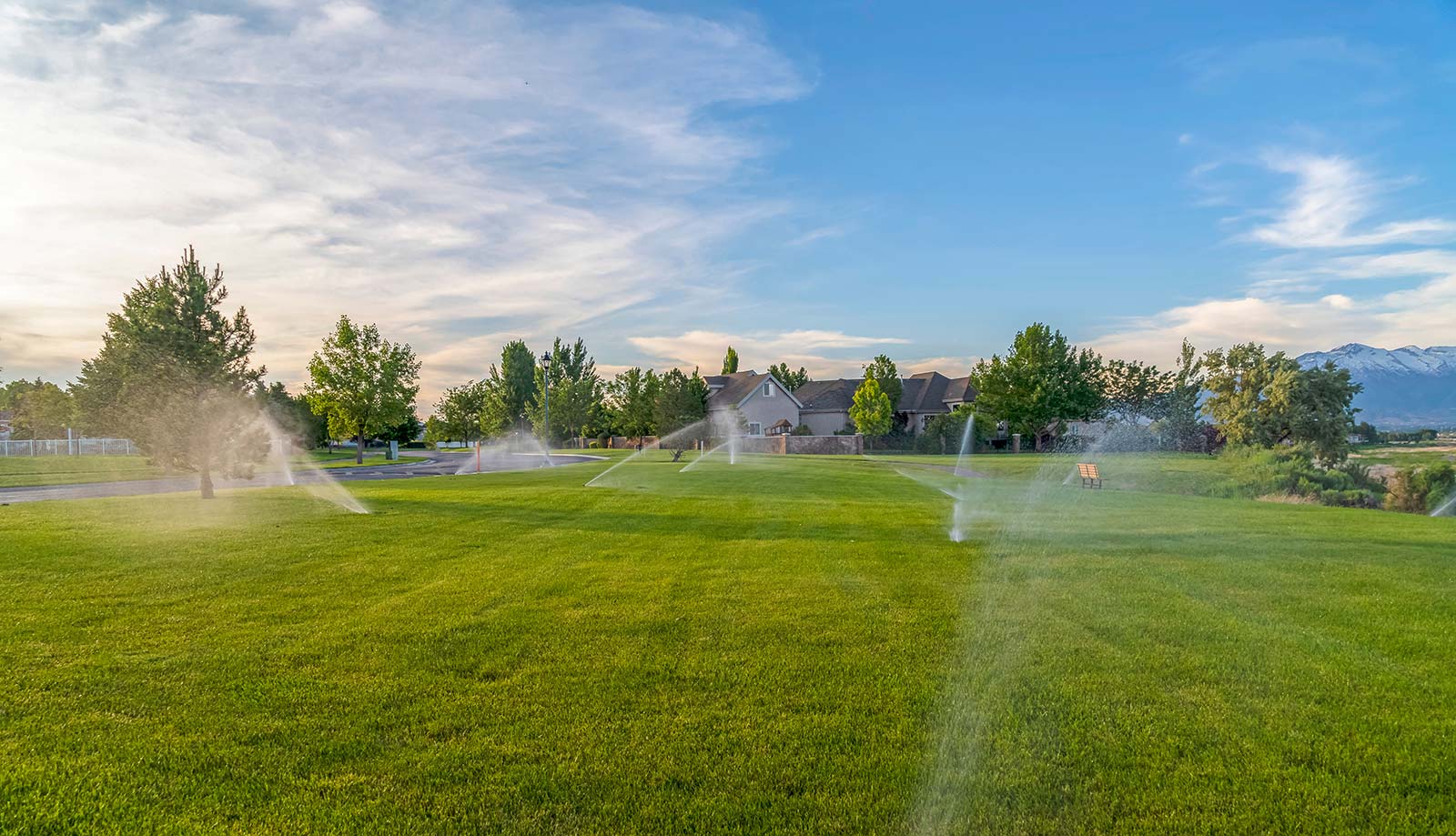 Rotary vs. Spray Sprinklers