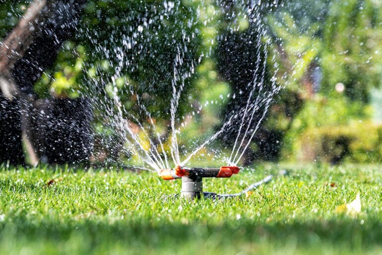 Adjusting Rainbird Pop-Up Sprinkler Heads
