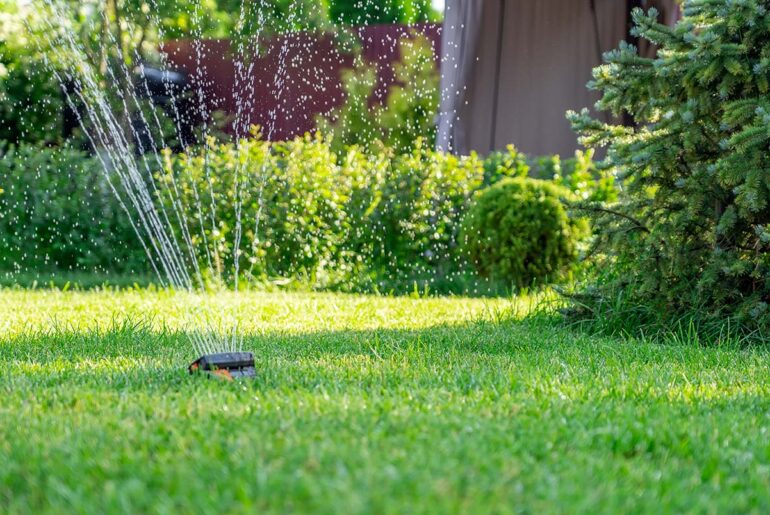 Hand Watering a Lawn better than using Sprinklers