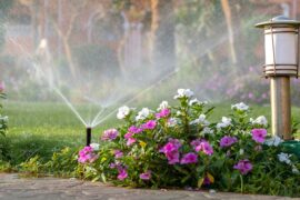 Sprinkler Heads vs. Nozzles