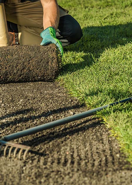 Sod Installation You Can Trust