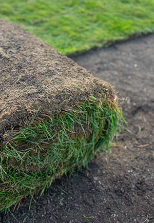 trusted sod installation specialist